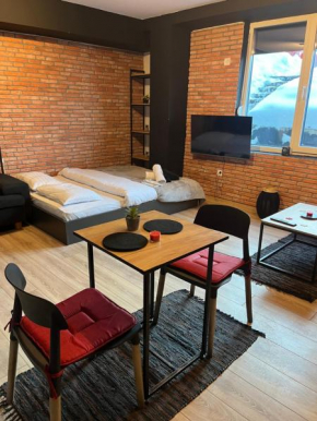 Mickitos Cozy Studio One Mavrovo